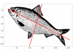 Data Preprocessing