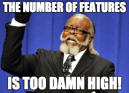 The number of features is too damn high!