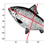 Data Preprocessing